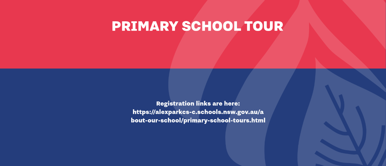 Primary_School_Tour